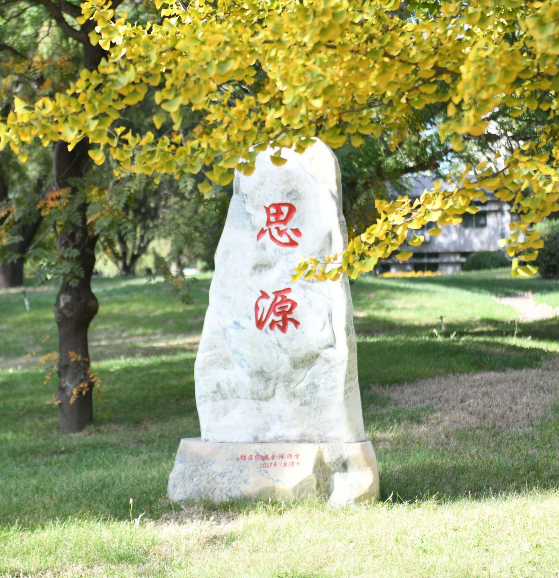 遇见美好，爱上秋日云顶集团3118app下载校园！